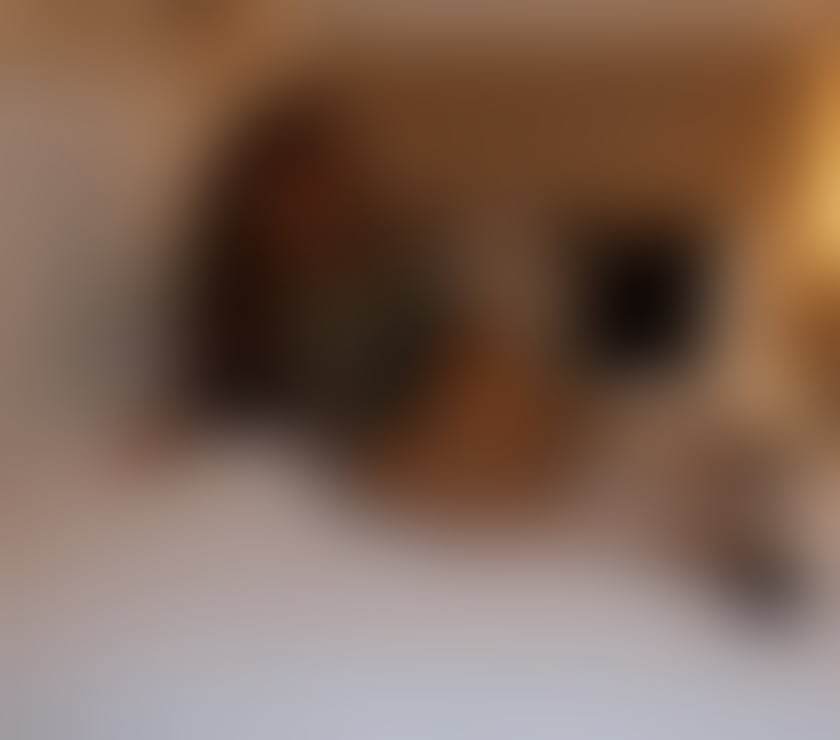 Trans Escorts South West London Kingston upon Thames - Photos for ♥️ VALENTINA DIOR🏳️‍⚧️ 🔞 🥂JUST ARRIVED