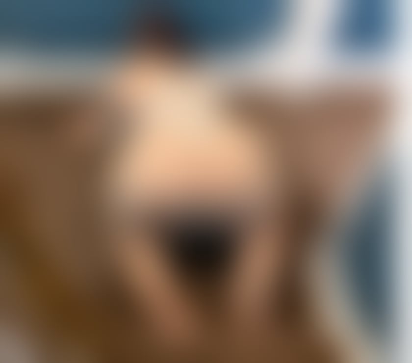 Escorts West Yorkshire Kirklees - Photos for New Maria, party girl with curvy