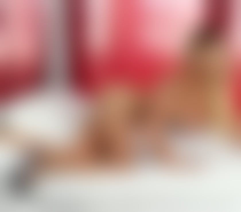 Trans Escorts Belfast Belfast City Centre (South) - Belfast - Photos for Margote latina new in belfast