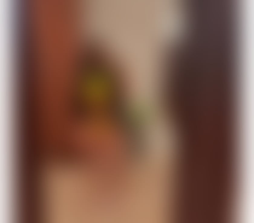 Escorts South East London Blackheath - South East London - Photos for 🔥 Yasmin 100% Real 🔥 What You See Is What You Get 💯