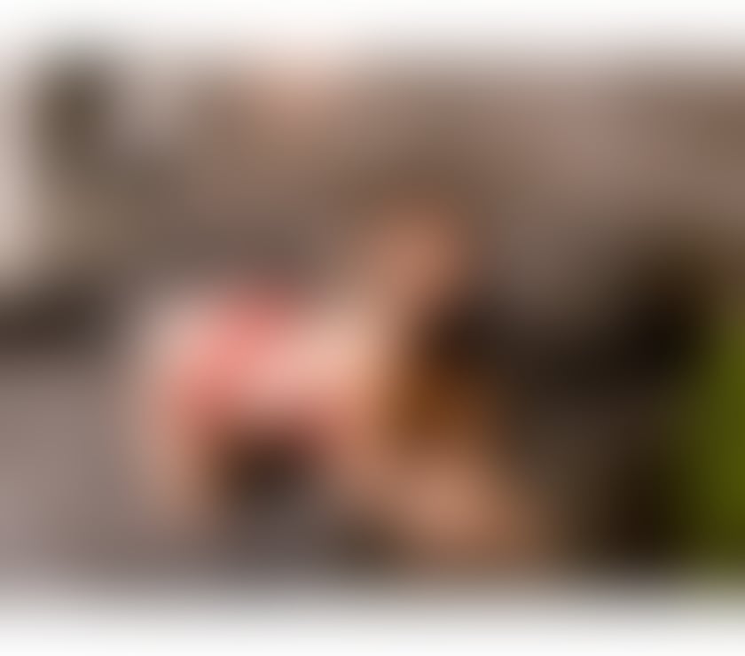 Escorts North London Whetstone - North London - Photos for 🍓 GOOD GIRL AVAILABLE 🇧🇷 NAUGHTY 🥰