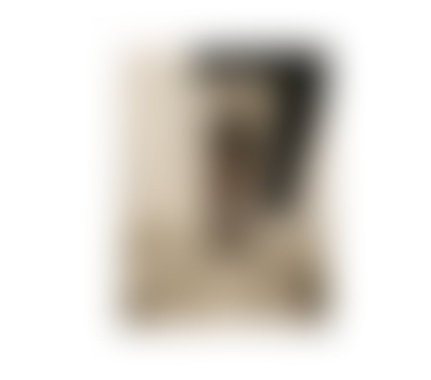 Escorts North Northamptonshire Kettering - North Northamptonshire - Photos for NEW POLISH❤️50£30min‼️ good price‼️a few days