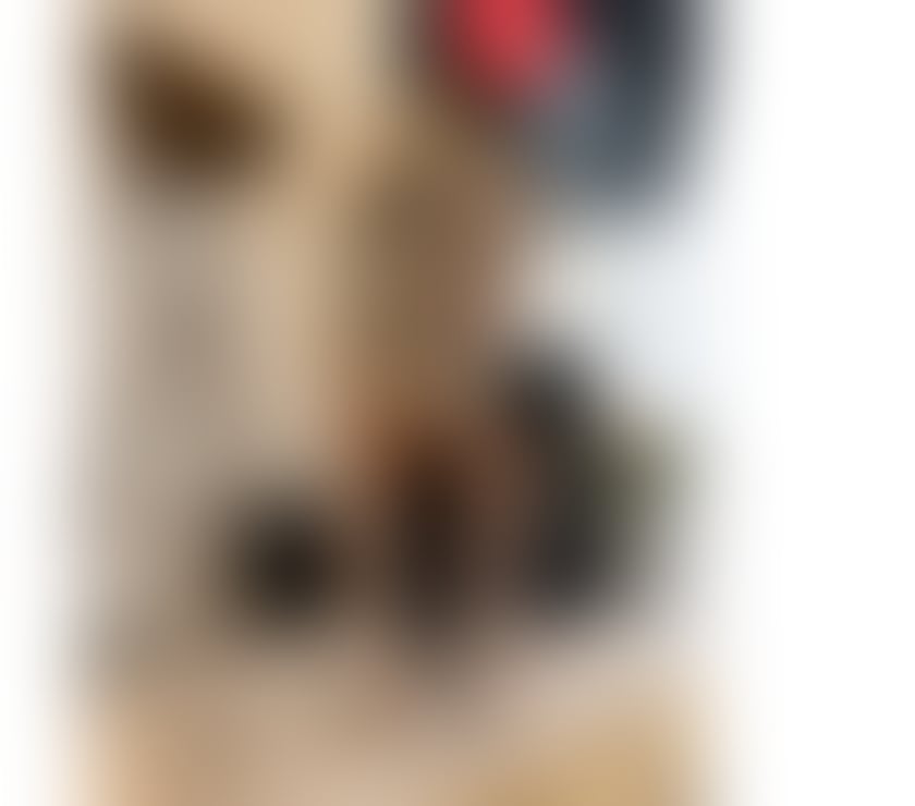 Escorts South West London South Kensington - South West London - Photos for Sarah new naughty girl in central London