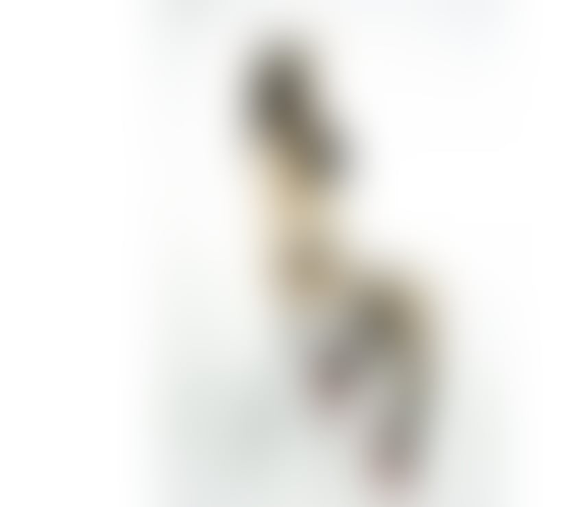 Escorts South East London Lewisham - Photos for Emily UNFORGETTABLE GIRLFRIEND EXPERIENCE & BEST BJ