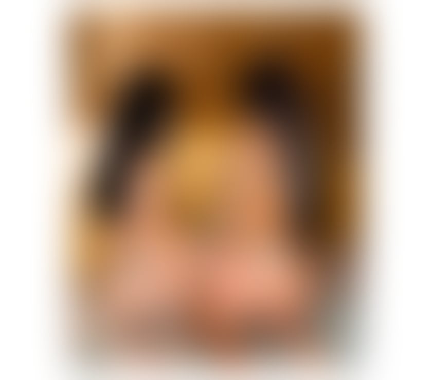 Escorts and Massages Aberdeen City Centre Aberdeen - Photos for Andreea and katy new party girls in town 🔞🔞