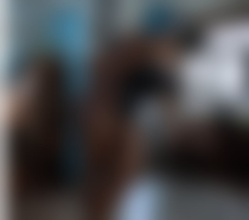  Escorts Edinburgh Edinburgh - Photos for 💎Irresistible BBW Ebony GFE💎 in town for a few days