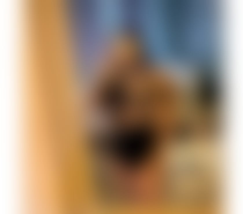 Escorts Chatham Medway - Kent - Photos for YOUR LATINA HOT GIRL ❤️‍🔥LAST WEEK🥂✨