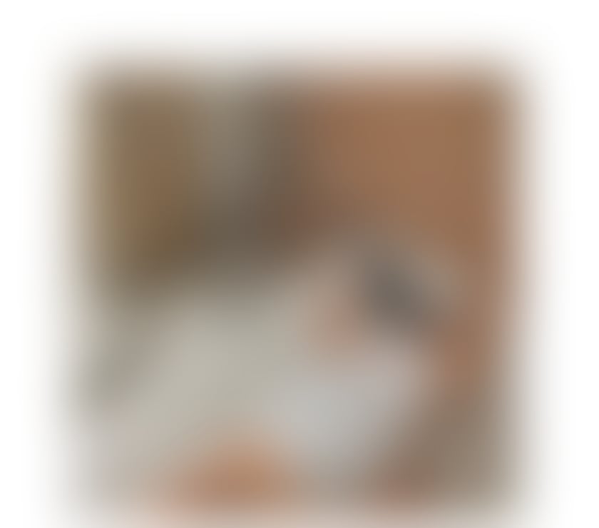 Escorts Peterborough Peterborough City Centre - Peterborough - Photos for 💫✨Just arrived! Shall we escape? 🌶️💞