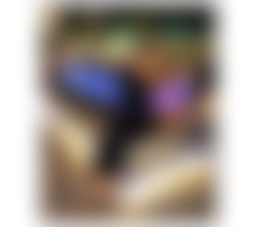 Escorts Devon Exeter - Photos for Gabi 😈 Deliciously Naughty Party (Genuine Pics)