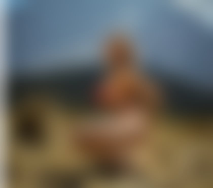 Trans Escorts North London Islington - North London - Photos for Lexxi, for the first time in your city