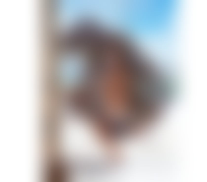 Transsexual Escorts Swansea City Centre Swansea - Wales - Photos for 🔥 NEW 😈 LEXA 🔥 BRAZILIAN TS GIRL 😈