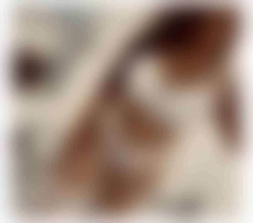 Photos for ❤️CARINA❤️ new girl in town party very big tits🎉