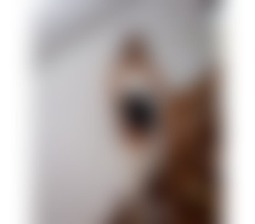 Escorts Wiltshire Swindon - Photos for 🥳New GirL-Genuine-💯-incall&outcall🥳