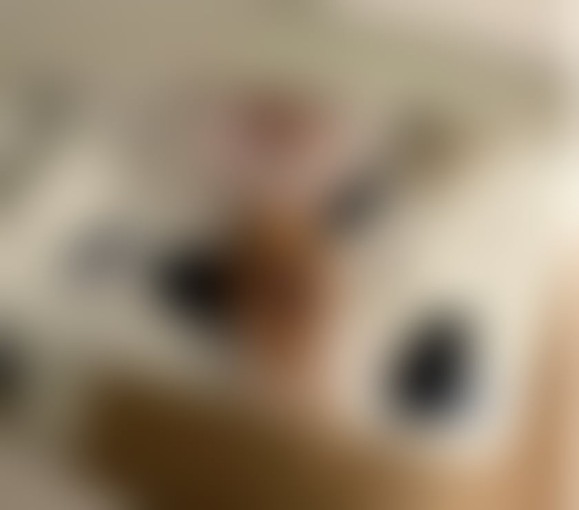 Escorts Hertfordshire St. Albans - Photos for SEXY ALICIA♥️Independent♥️Genuine♥️