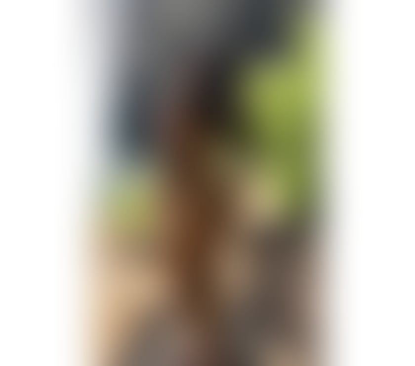 Escorts Nottinghamshire Nottingham - Photos for 🔥HOT GIRL 😋🔥 DELICIUS LATINA✨📍REAL NG1🌟