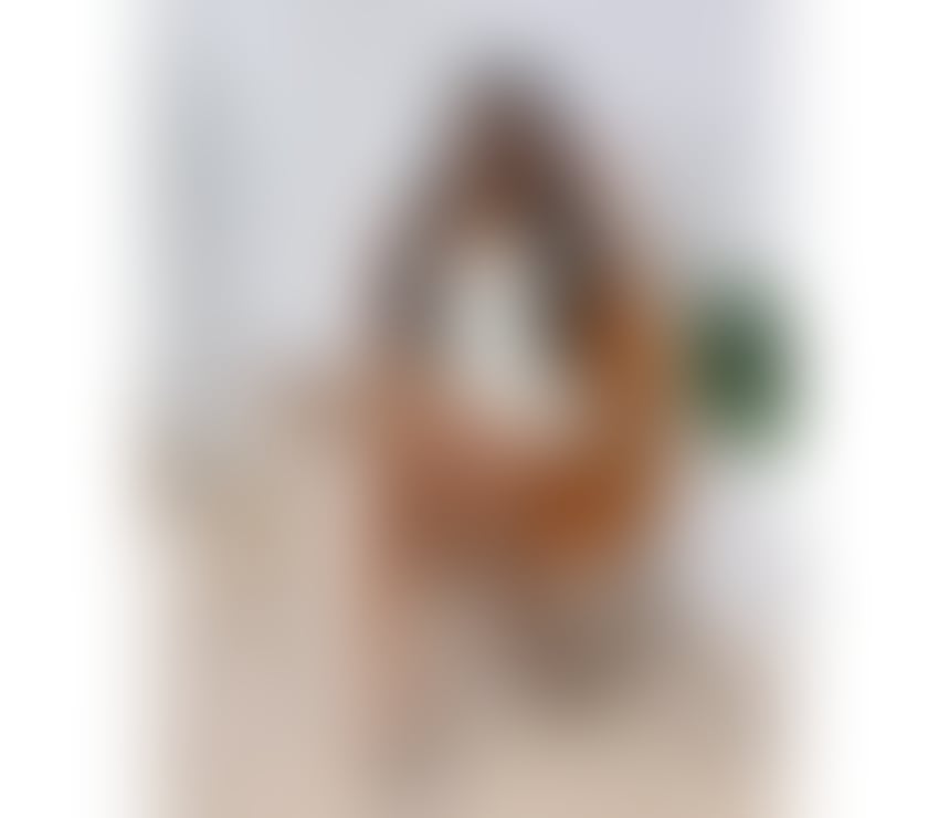 Escort Forest Fields Nottingham - Photos for LIA🇧🇷VERY HOT🍑REAL100%PARTY🥂BEST SERVICE👅