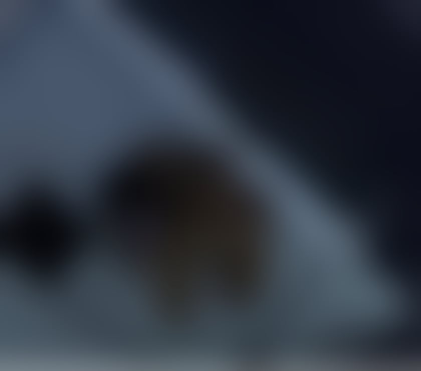 Escorts Leicestershire Leicester - Photos for 👸Julia👸now in Leicester🥳 PARTY GIRL🥳