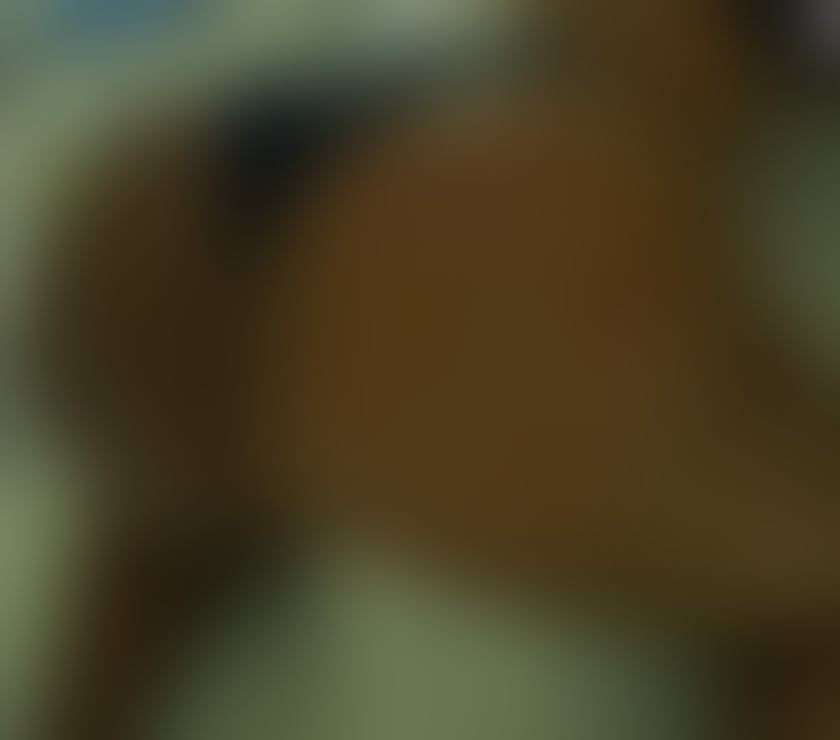 Eva 🌹 Black African 🖤