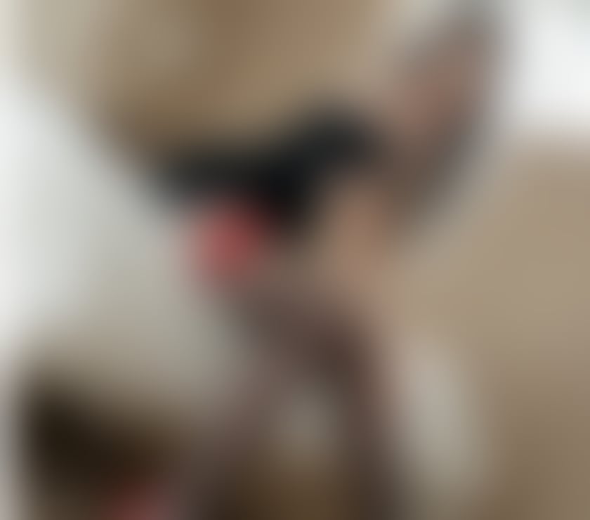 Escorts Tyne and Wear Sunderland - Photos for SARAH📞⭐️💖OUTCALL ONLY 📞⭐️💖