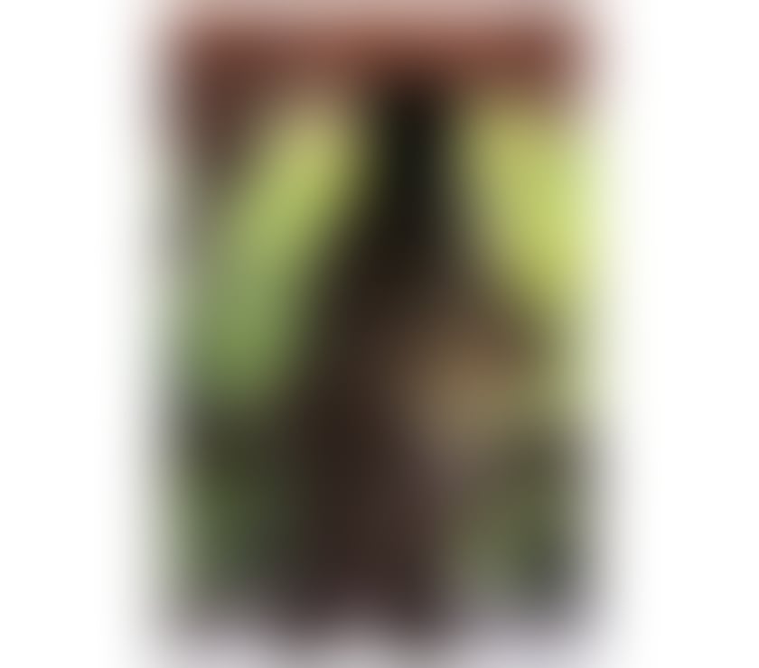 Escorts London Bridge Station Central London - Photos for Jhulia ✅Brazilian party girl 🔥🔥