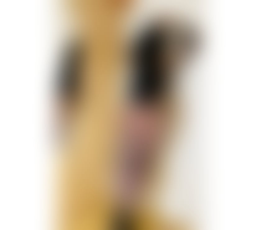 Escorts Essex Chelmsford - Photos for ❤️Just arrived 💦Naty 🔞Full service 💦