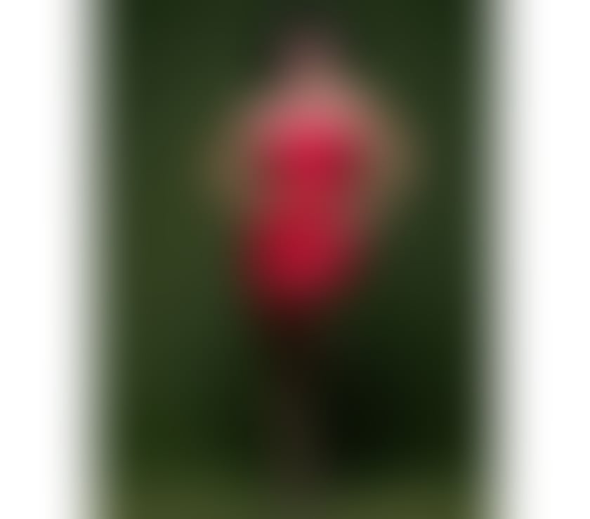 Escorts East Sussex Brighton - Photos for 🔥JULIA 🔥 24 7