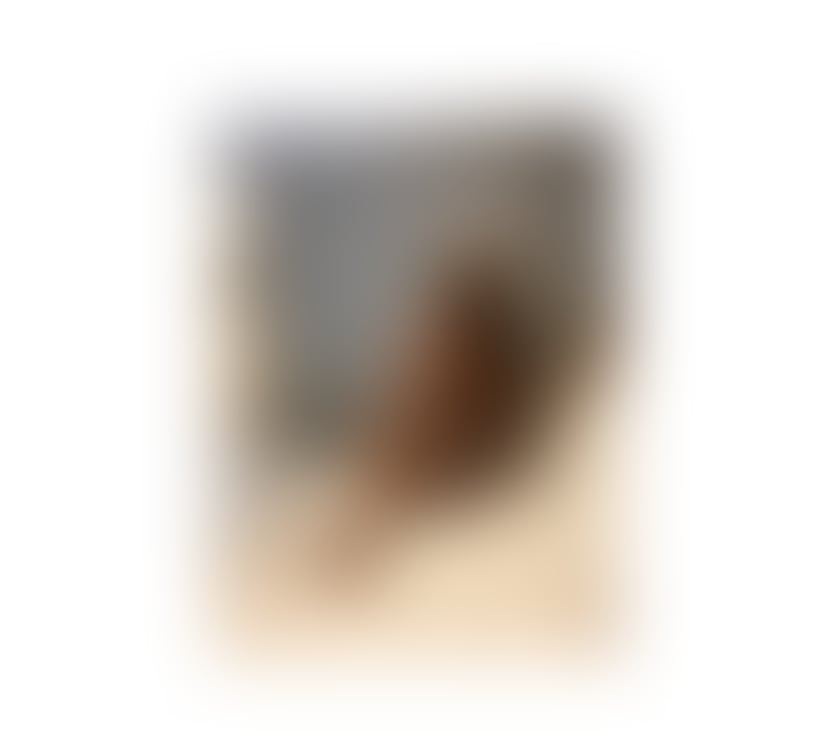 Trans Escorts Essex Thurrock - Essex - Photos for Sexy Gabby here 🌹