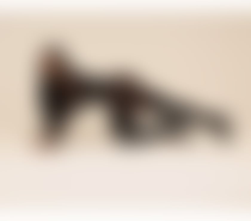 Trans Escorts West Yorkshire Leeds - Photos for 🍑🇧🇷🍆BBC TAYRA ANGHEL^🍆🇧🇷🍑