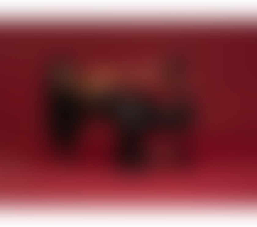 Trans Escorts West Yorkshire Leeds - Photos for 🍑🇧🇷🍆BBC TAYRA ANGHEL^🍆🇧🇷🍑