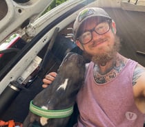 young fit male escort