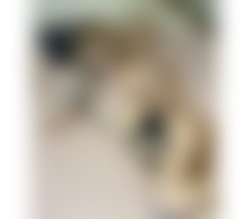 Escorts Norfolk Norwich - Photos for ❤️TINA🔥🔝REAL PICS💥GENUINE,SWEET AND SEXY