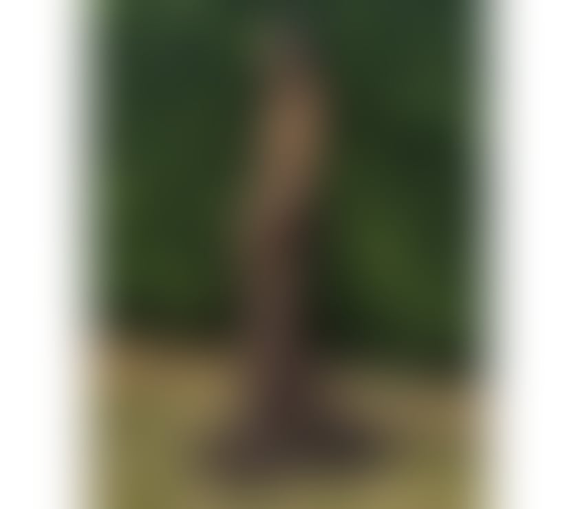 Escorts Lincolnshire Lincoln - Photos for Hello. Dear I’m Amanda from Thailand