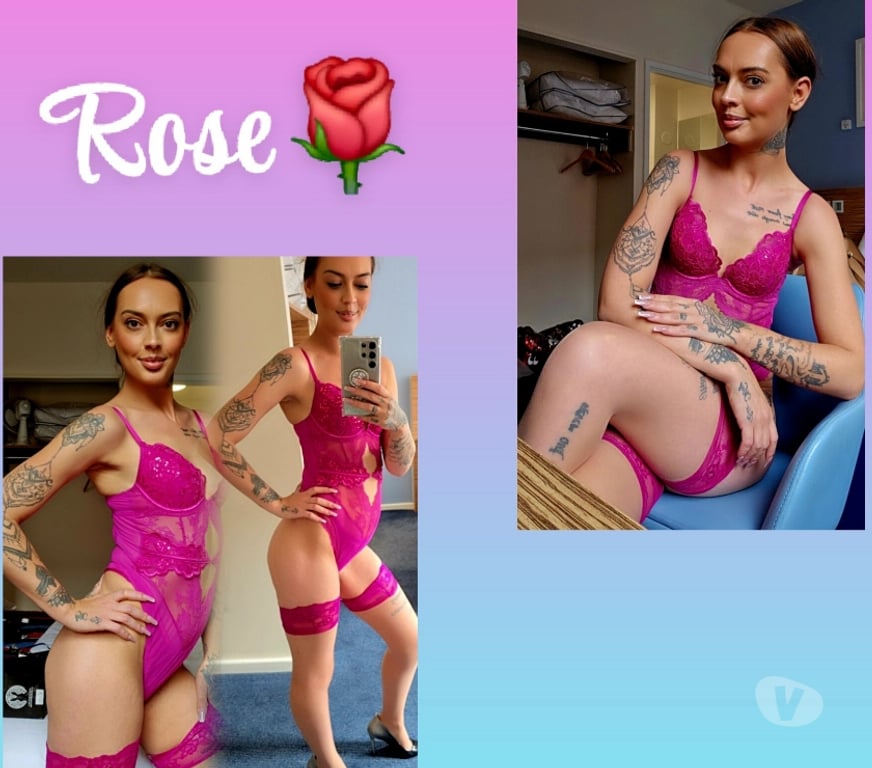 Escorts Aberdeen Aberdeen City Centre - Aberdeen - Photos for White British Rose 🌹 07300647789