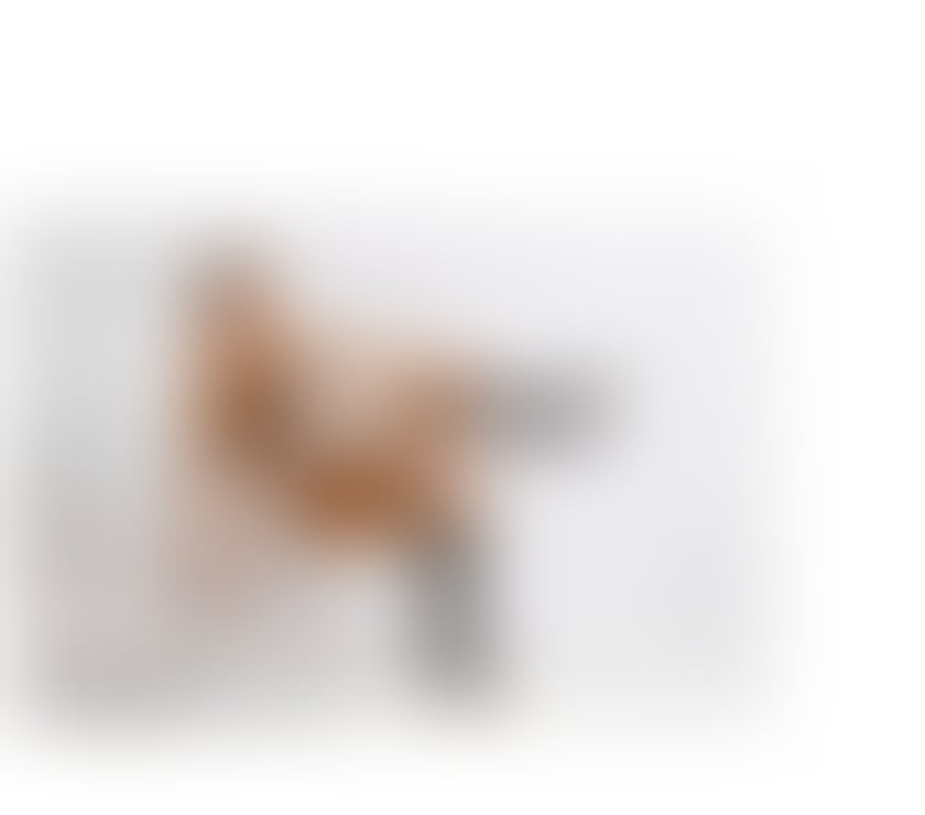 Trans Escorts Leicestershire Leicester - Photos for Ts Perola Brazilian Hot Party