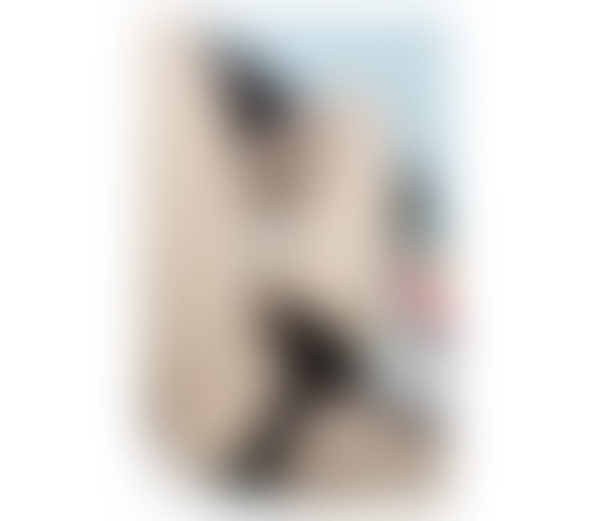 Trans Escorts North London Finchley - North London - Photos for SKY🌷Sexy Ladyboy Thailand Good massage in N3