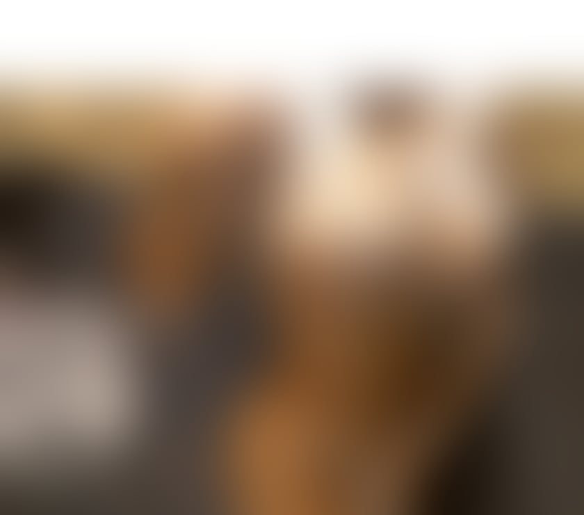 Escorts Cheshire East Crewe - Cheshire East - Photos for Hi here big boobs big ass with No extra with good time