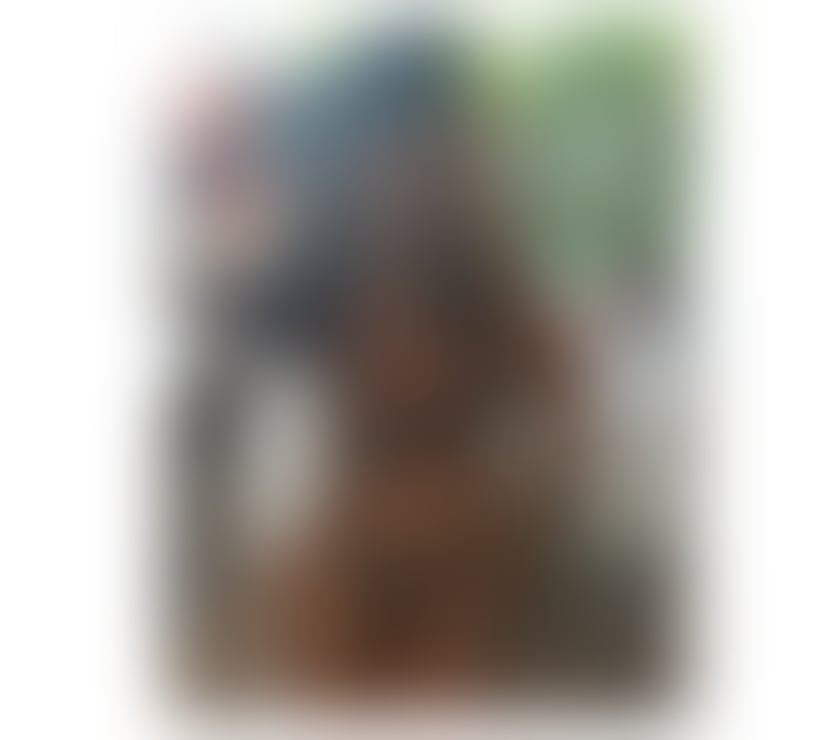  Escorts Leamington Spa Warwick - Photos for ❤️‍🔥 ALICE 🍑 HOT GIRL ❤️‍🔥🇧🇷