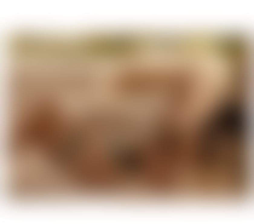 Escorts South West London Sutton - Photos for BIBI BABY FACE 22 y🥰SEXY LATINA