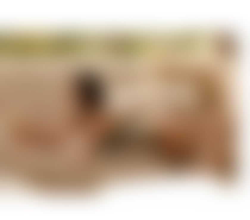  Escorts Cheam Sutton - Photos for BIBI BABY FACE 22 y🥰SEXY LATINA