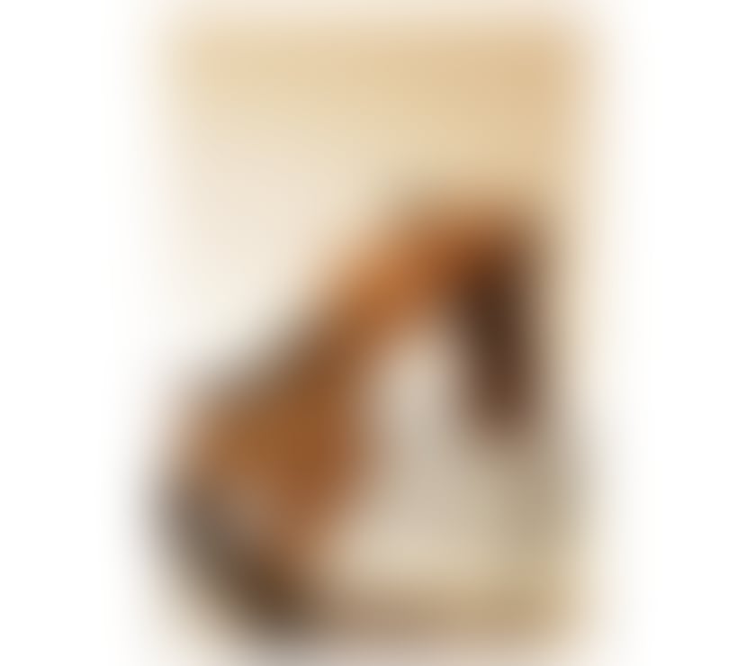 Trans Escorts Glasgow Glasgow City Centre - Glasgow - Photos for PURE BRAZILIAN TS READY 🥳🔥