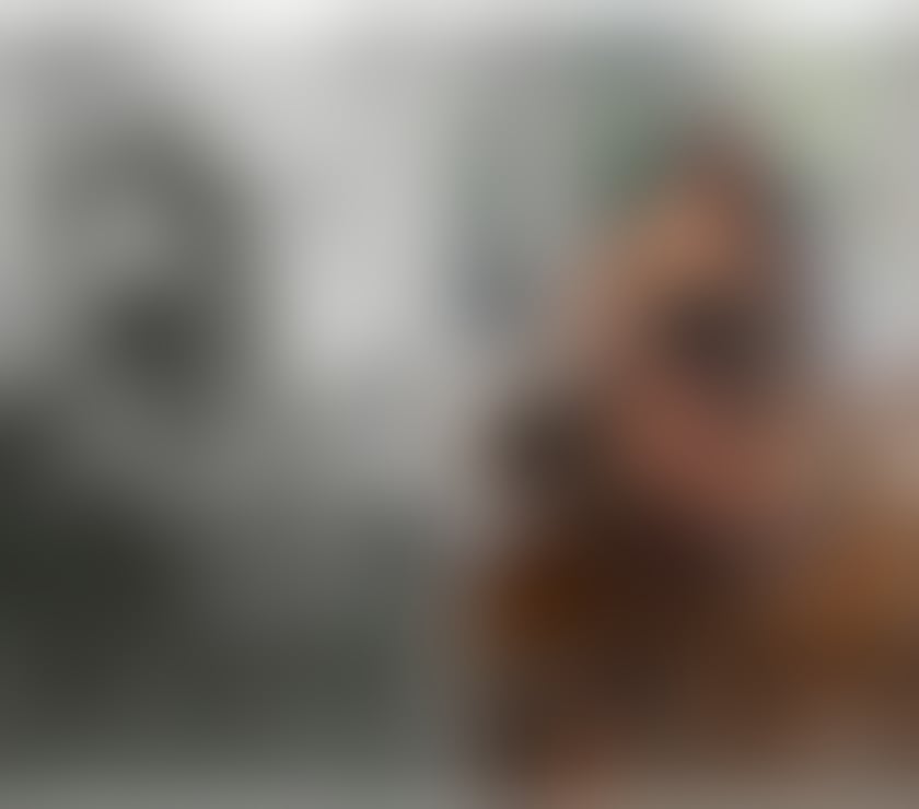 Escorts Hampshire Rushmoor - Photos for MELISSA🔥SEXY AND HORNY GIRL💯BEST SERVICE🌐PARTY