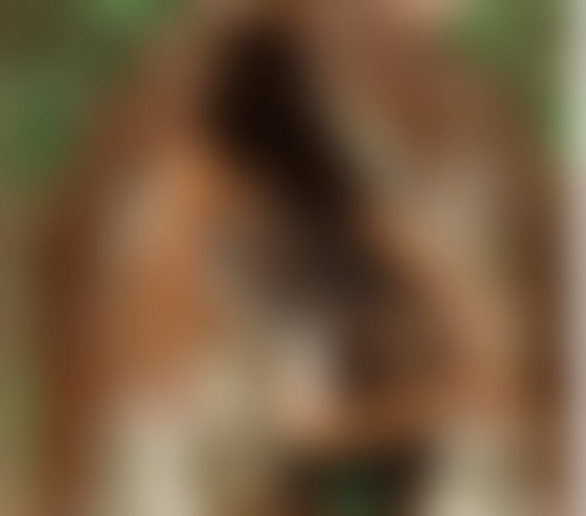 Escorts Oxfordshire Oxford - Photos for Beautiful Black British Escort And Masseuse In Wolvercote