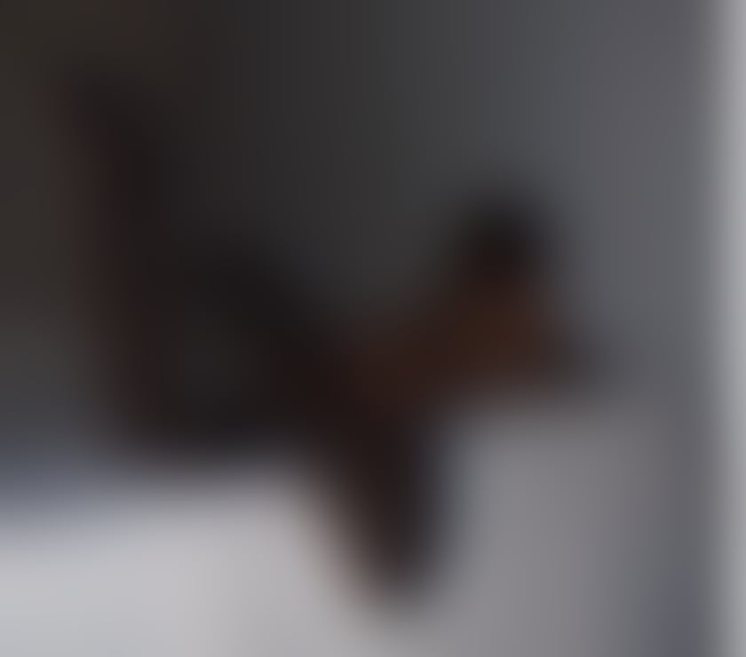 Escorts Merseyside Liverpool - Photos for TS Jasmine Liverpool City centre now