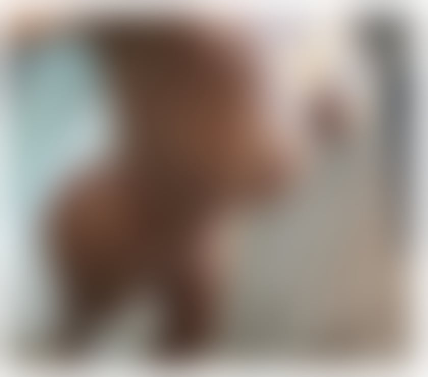 Escorts Peterborough Peterborough City Centre - Peterborough - Photos for NAUGHTY GIRL 😈💦PARTY🥂🎉BEST OWO☎️