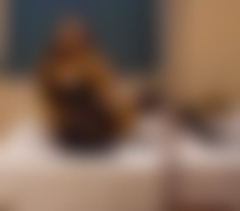 Escorts Edinburgh Edinburgh Old Town - Edinburgh - Photos for MAYA 🇧🇷 goddess of bj 🤤 💯real