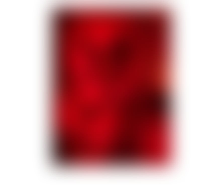 IN DARLINGTON FOR A FEW DAYS ONLY