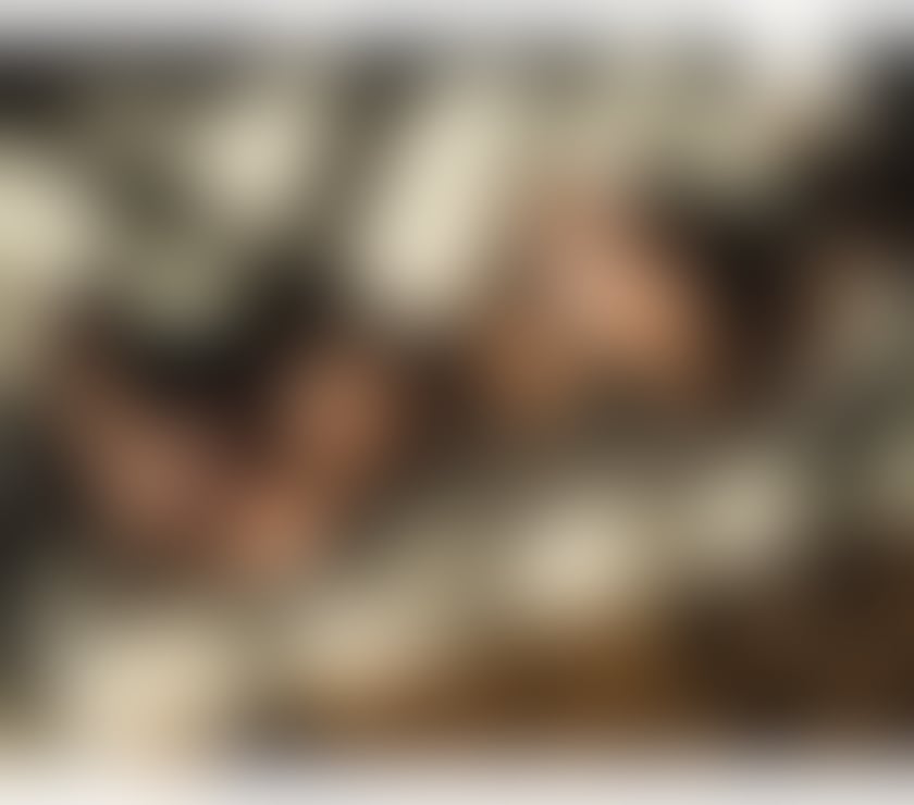 Escorts Fife Dunfermline - Fife - Photos for Luna - Friendly & Charming