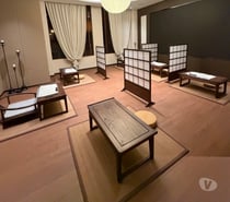 The professional therapist with professional massage skill