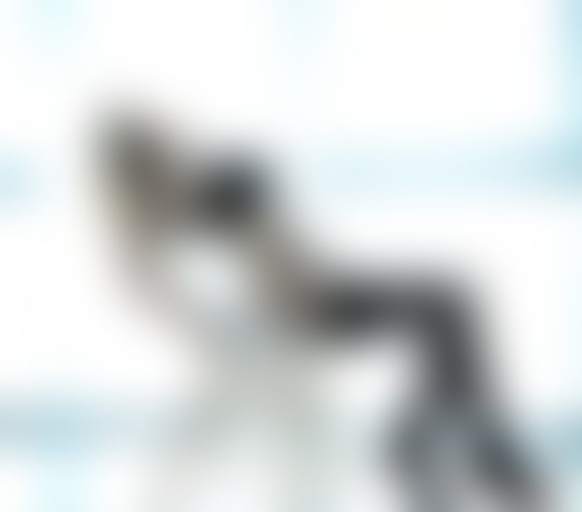 Escorts High Wycombe Buckinghamshire - Photos for new girls in town🎀💋🎉