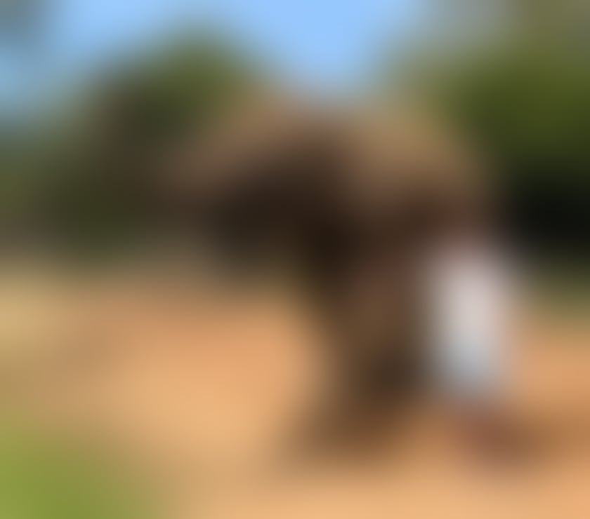 adult personals West Yorkshire Calderdale - Photos for I’m your fun loving gentleman with an edge.